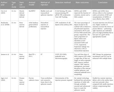 Mesenchymal stem cell-based therapy for female stress urinary incontinence 